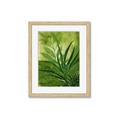 Picture of Fresh Palm Leaves I _GroupedProduct_Rectangle_Portrait_Framed_Matted_
