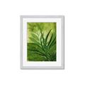 Picture of Fresh Palm Leaves I _GroupedProduct_Rectangle_Portrait_Framed_Matted_