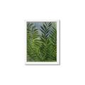 Picture of Fresh Palm Leaves II _GroupedProduct_Rectangle_Portrait_Framed_Matted_