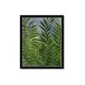Picture of Fresh Palm Leaves II _GroupedProduct_Rectangle_Portrait_Framed_Matted_