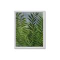 Picture of Fresh Palm Leaves II _GroupedProduct_Rectangle_Portrait_Framed_Matted_