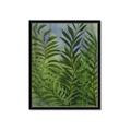 Picture of Fresh Palm Leaves II _GroupedProduct_Rectangle_Portrait_Framed_Matted_