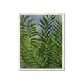 Picture of Fresh Palm Leaves II _GroupedProduct_Rectangle_Portrait_Framed_Matted_