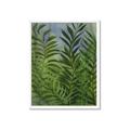 Picture of Fresh Palm Leaves II _GroupedProduct_Rectangle_Portrait_Framed_Matted_