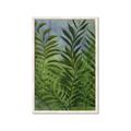 Picture of Fresh Palm Leaves II _GroupedProduct_Rectangle_Portrait_Framed_Matted_