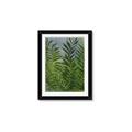 Picture of Fresh Palm Leaves II _GroupedProduct_Rectangle_Portrait_Framed_Matted_