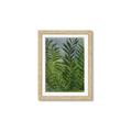 Picture of Fresh Palm Leaves II _GroupedProduct_Rectangle_Portrait_Framed_Matted_