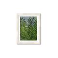 Picture of Fresh Palm Leaves II _GroupedProduct_Rectangle_Portrait_Framed_Matted_