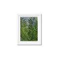 Picture of Fresh Palm Leaves II _GroupedProduct_Rectangle_Portrait_Framed_Matted_
