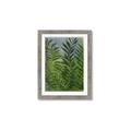 Picture of Fresh Palm Leaves II _GroupedProduct_Rectangle_Portrait_Framed_Matted_