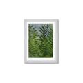 Picture of Fresh Palm Leaves II _GroupedProduct_Rectangle_Portrait_Framed_Matted_