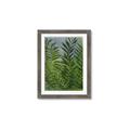 Picture of Fresh Palm Leaves II _GroupedProduct_Rectangle_Portrait_Framed_Matted_