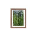 Picture of Fresh Palm Leaves II _GroupedProduct_Rectangle_Portrait_Framed_Matted_