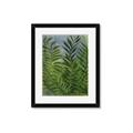 Picture of Fresh Palm Leaves II _GroupedProduct_Rectangle_Portrait_Framed_Matted_
