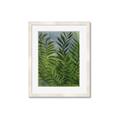 Picture of Fresh Palm Leaves II _GroupedProduct_Rectangle_Portrait_Framed_Matted_