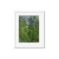 Picture of Fresh Palm Leaves II _GroupedProduct_Rectangle_Portrait_Framed_Matted_