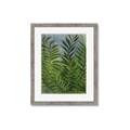 Picture of Fresh Palm Leaves II _GroupedProduct_Rectangle_Portrait_Framed_Matted_