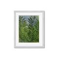 Picture of Fresh Palm Leaves II _GroupedProduct_Rectangle_Portrait_Framed_Matted_