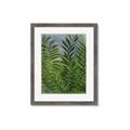 Picture of Fresh Palm Leaves II _GroupedProduct_Rectangle_Portrait_Framed_Matted_