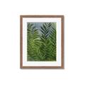 Picture of Fresh Palm Leaves II _GroupedProduct_Rectangle_Portrait_Framed_Matted_