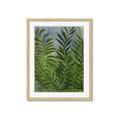 Picture of Fresh Palm Leaves II _GroupedProduct_Rectangle_Portrait_Framed_Matted_