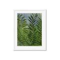 Picture of Fresh Palm Leaves II _GroupedProduct_Rectangle_Portrait_Framed_Matted_
