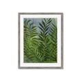 Picture of Fresh Palm Leaves II _GroupedProduct_Rectangle_Portrait_Framed_Matted_
