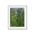 Picture of Fresh Palm Leaves II _GroupedProduct_Rectangle_Portrait_Framed_Matted_