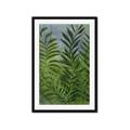 Picture of Fresh Palm Leaves II _GroupedProduct_Rectangle_Portrait_Framed_Matted_