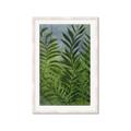 Picture of Fresh Palm Leaves II _GroupedProduct_Rectangle_Portrait_Framed_Matted_