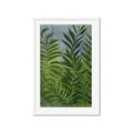 Picture of Fresh Palm Leaves II _GroupedProduct_Rectangle_Portrait_Framed_Matted_