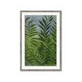 Picture of Fresh Palm Leaves II _GroupedProduct_Rectangle_Portrait_Framed_Matted_