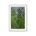 Picture of Fresh Palm Leaves II _GroupedProduct_Rectangle_Portrait_Framed_Matted_