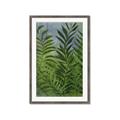 Picture of Fresh Palm Leaves II _GroupedProduct_Rectangle_Portrait_Framed_Matted_