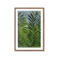 Picture of Fresh Palm Leaves II _GroupedProduct_Rectangle_Portrait_Framed_Matted_