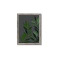 Picture of Vein Leaves I _GroupedProduct_Rectangle_Portrait_Framed_Matted_