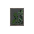 Picture of Vein Leaves I _GroupedProduct_Rectangle_Portrait_Framed_Matted_