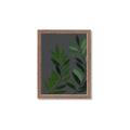 Picture of Vein Leaves I _GroupedProduct_Rectangle_Portrait_Framed_Matted_