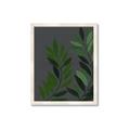 Picture of Vein Leaves I _GroupedProduct_Rectangle_Portrait_Framed_Matted_