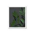 Picture of Vein Leaves I _GroupedProduct_Rectangle_Portrait_Framed_Matted_