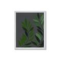Picture of Vein Leaves I _GroupedProduct_Rectangle_Portrait_Framed_Matted_