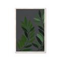 Picture of Vein Leaves I _GroupedProduct_Rectangle_Portrait_Framed_Matted_
