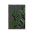 Picture of Vein Leaves I _GroupedProduct_Rectangle_Portrait_Framed_Matted_
