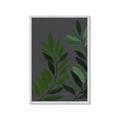 Picture of Vein Leaves I _GroupedProduct_Rectangle_Portrait_Framed_Matted_