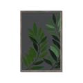 Picture of Vein Leaves I _GroupedProduct_Rectangle_Portrait_Framed_Matted_