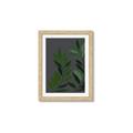 Picture of Vein Leaves I _GroupedProduct_Rectangle_Portrait_Framed_Matted_