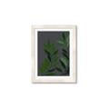 Picture of Vein Leaves I _GroupedProduct_Rectangle_Portrait_Framed_Matted_
