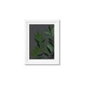 Picture of Vein Leaves I _GroupedProduct_Rectangle_Portrait_Framed_Matted_