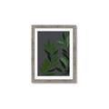 Picture of Vein Leaves I _GroupedProduct_Rectangle_Portrait_Framed_Matted_
