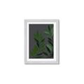 Picture of Vein Leaves I _GroupedProduct_Rectangle_Portrait_Framed_Matted_